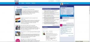 Social intranet SNS REAAL               